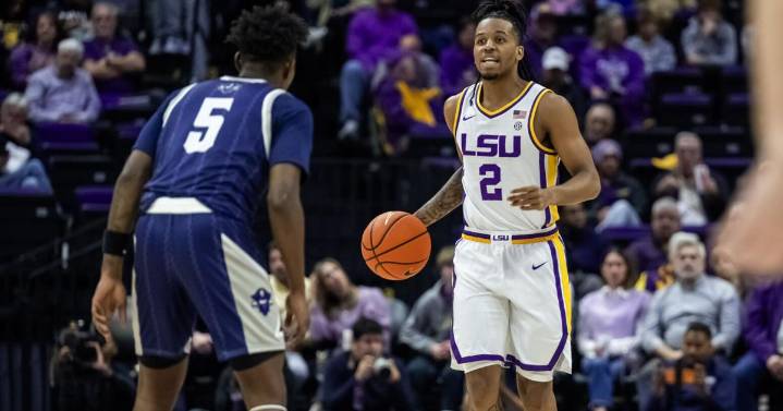What every LSU basketball fan should monitor early in season