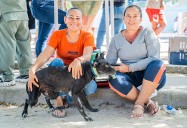 Santa Marta alcanza la esterilización gratuita número 16.000