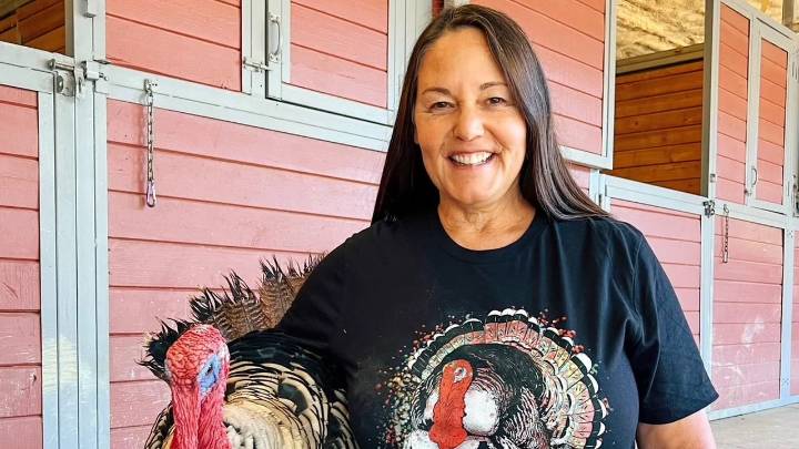 Cuddle turkeys at a California animal sanctuary this Thursday