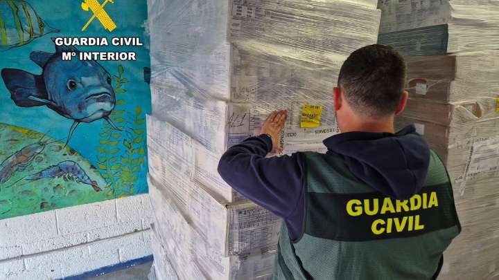 Intervienen 20 toneladas de marisco y pescado caducados, algunos desde 2019, listos para vender