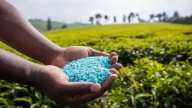 Centre’s fertilizer crackdown: Over 3 lakh inspections  in Kharif-Rabi season to ensure smooth supply