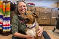 Check out 12 volunteer and donation opportunities ...