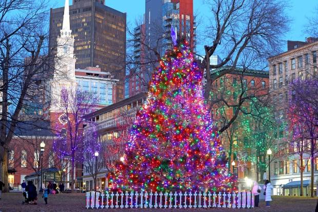 Pols & Politics: Wu to chop Boston’s Christmas tree in Canada, Baker’s Council bid not entirely dead