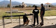 FBI inicia capacitación para manejo de explosivos y drones con elementos de seguridad en Michoacán