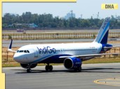 Delhi Airport sees long queues as IndiGo flights delayed; airline issues advisor