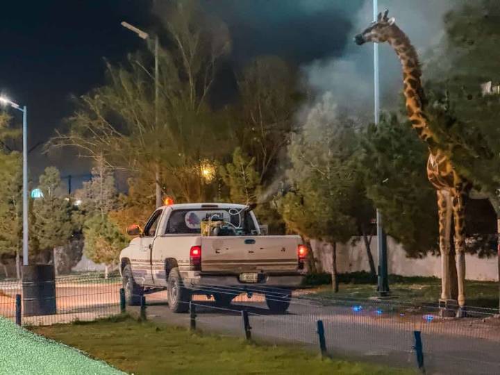 Fumigan el Parque Central