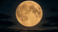 Atención. Ésta es la HORA exacta para ver EN VIVO el punto máximo de la Superluna de noviembre...