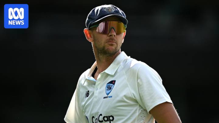 Australia suffers Ashes scare with Josh Hazlewood and Sean Abbott being assessed for injuries