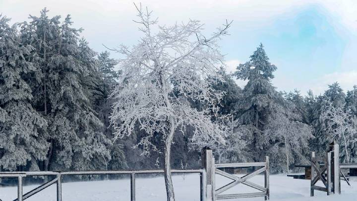 Un chorro polar histórico congelará León: temperaturas de hasta