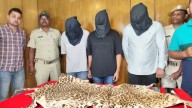 Three Held For Trying To Sell Leopard Skin For Rs 30 Lakh In Bhubaneswar