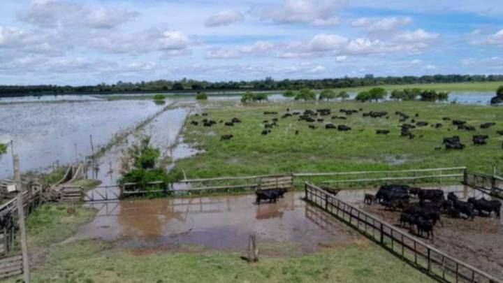 Intendentes bonaerenses reclaman ayuda por las inundaciones en el campo