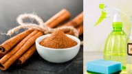 Beneficios de mezclar canela y vinagre: ¿por qué recomiendan hacerlo y para qué sirve?