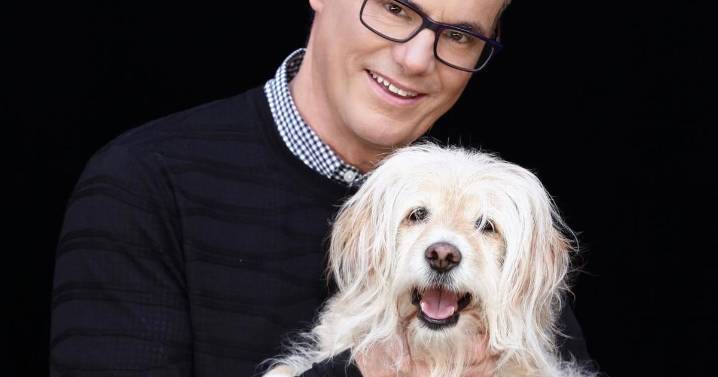 Traverse City sets the stage for the Netflix film “A Dog’s Perfect Christmas”