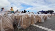 ‘Testament to this community:’ Volunteers rally at Daytona International Speedway for SNAP food drive