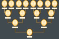 Why pricing fits the family tree for some wealth management firms