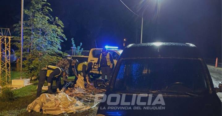 Pesca ilegal en Neuquén: los detuvieron en la Ruta 40 y descubrieron que llevaban 170 truchas