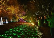 Cartes vuelve a apostar por el Parque Mágico, la decoración del Camino Real o el Mercado de Navidad