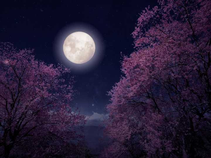 Horóscopo de hoy, miércoles 5 de noviembre 2025: efectos de la Luna llena en Tauro