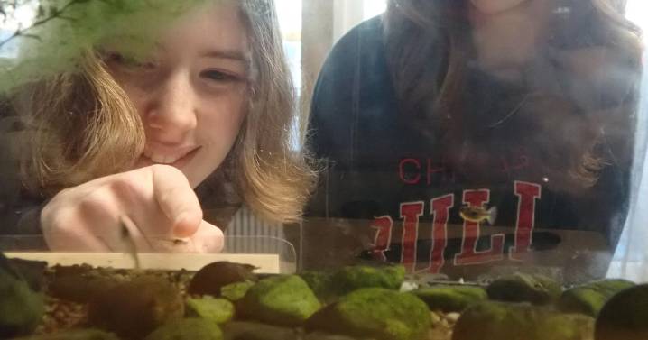 'THE DREAM KEEPS GROWING:' Cognition center looks to expand with community input