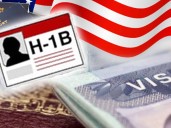 White House clarifies over H-1B visas after Trump defends programme