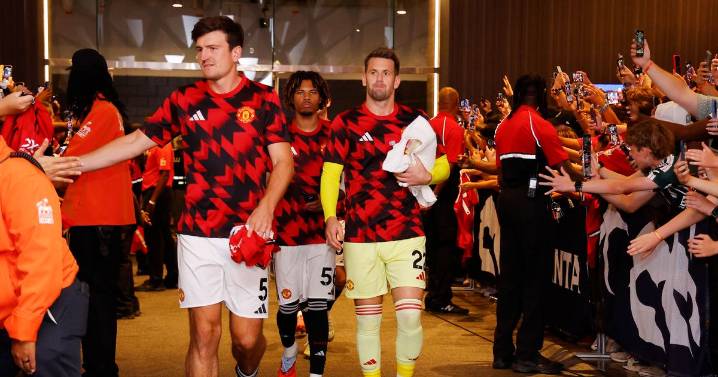 The Manchester United star who doesn't play but will be very difficult to replace