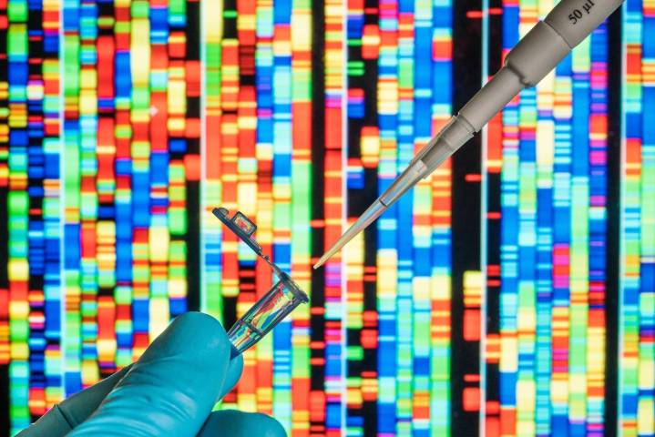 Gene Editing Helped One Baby—Could It Help Thousands?