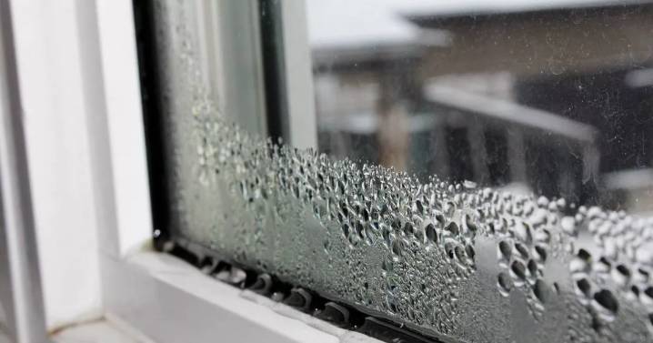 Why you get condensation on windows every morning and easy way to prevent it