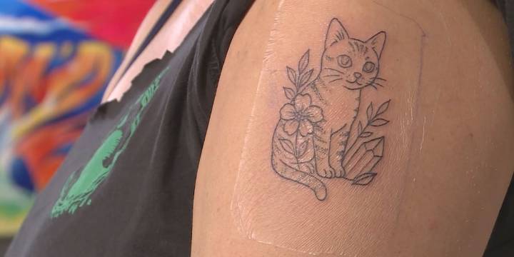 ‘Tats for Cats’ draws support for the Cattitude Cafe