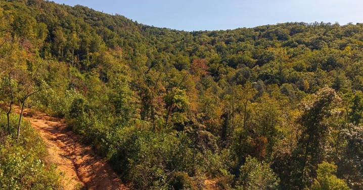 More than 830 acres south of Blue Ridge Parkway bought to be protected in McDowell County