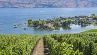 Kelowna, B.C., is the 1st Canadian city recognized by UNESCO for its food and cuisine