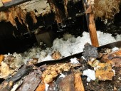 PHOTOS: Kitchen fire leaves 2 people, 2 dogs and 3 cats displaced in Clark County