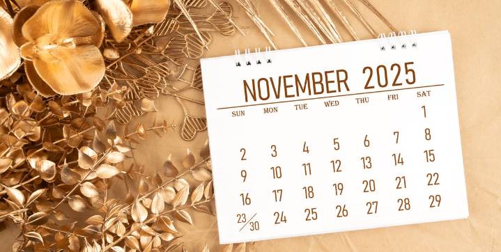 November Holidays and Observances 2025