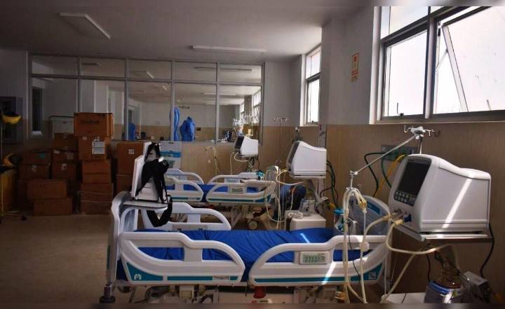 Ralstonia picketti, la bacteria oportunista que alarmó las salas de emergencia por brotes: Minsa reporta 28 casos en Perú