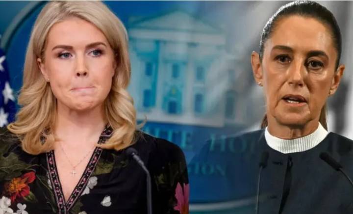 Trump "tiene mucho respeto" por Sheinbaum: Leavitt