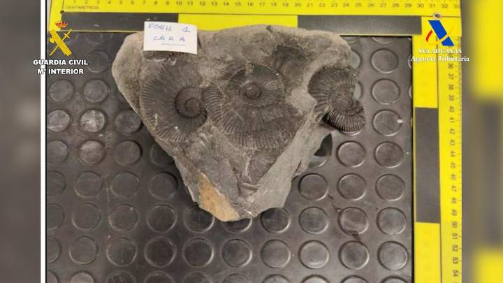 Confiscan en aeropuerto español bienes de patrimonio histórico de México y Ecuador