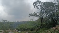 Why it took 30 years to declare Delhi’s Southern Ridge a reserved forest