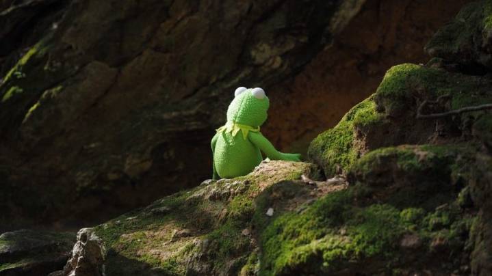 Kermit the Frog Weighs in on Steinbach Pride Controversy