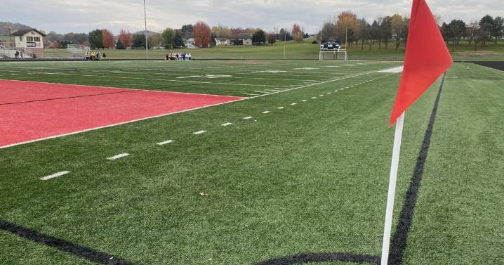 On to state! Area soccer teams punch tickets