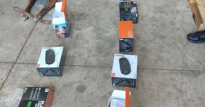 Agente K9 destapa envío sospechoso en Mexicali con vapeadores