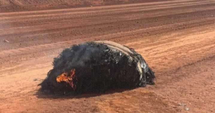 Three Astronauts Stuck In Space After Orbiting Trash Hits Their Capsule