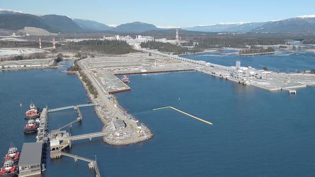 Carney wants to fast-track LNG expansion in B.C., but can Canadian natural gas compete globally?