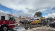 2 dogs die in Phoenix house fire, another dog rescued