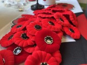 Poppy campaign underway in Montreal ahead of Remembrance Day