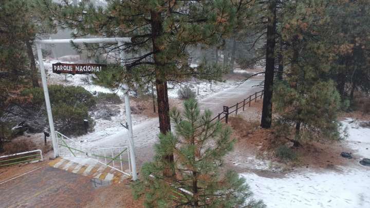 En San Pedro Mártir, las primeras nevadas de la temporada