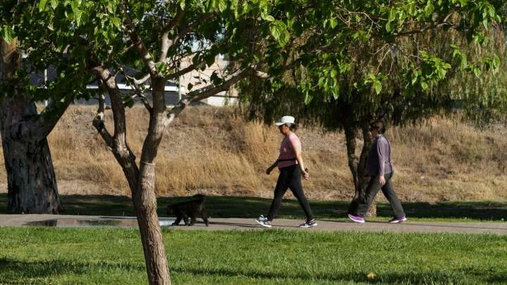 Clima en Neuquén: Sábado con temperaturas de verano y vientos leves
