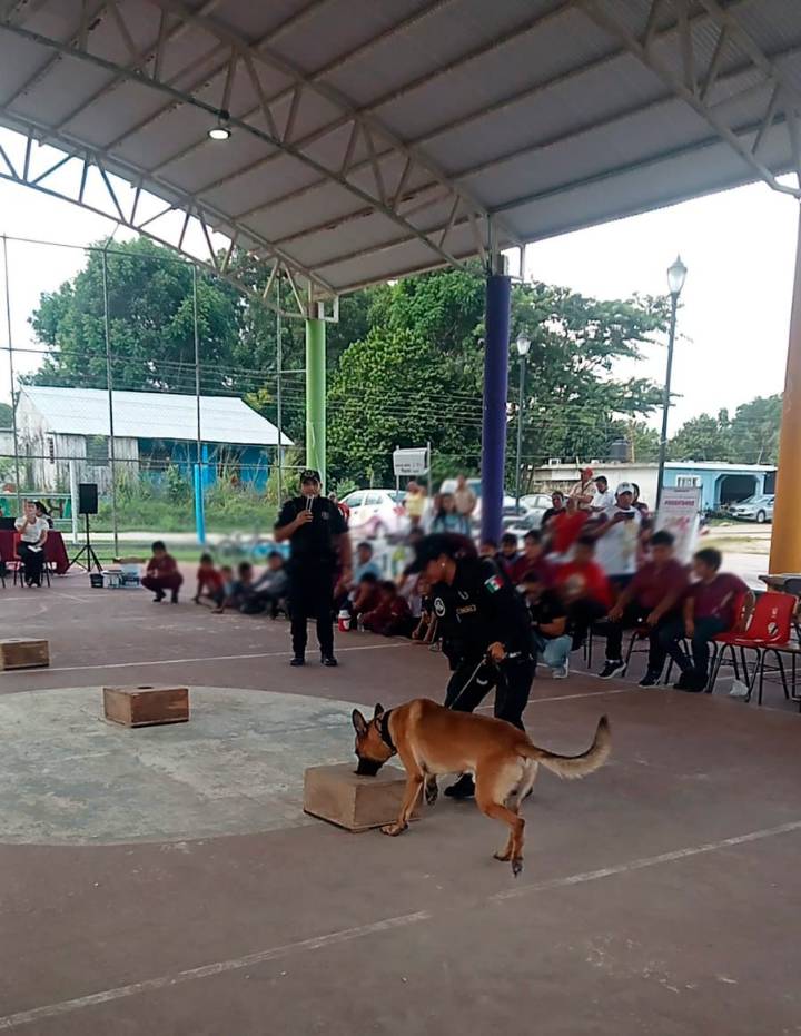 DEMOSTRACIÓN CANINA EN CARMEN
