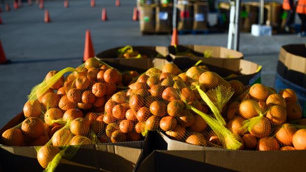 EEUU reducirá ayuda alimentaria para millones de personas en noviembre debido a parálisis presupuestal