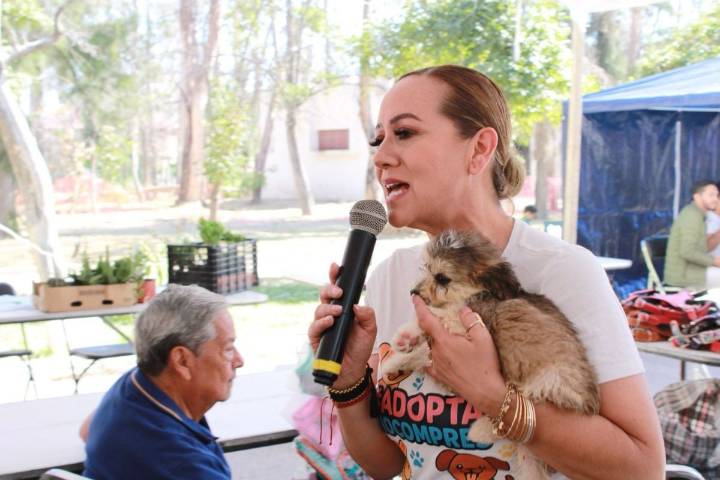 “Con la Ley de Ingresos 2026 se garantizan acciones para el bienestar animal”: Regidora Maritza Jenith Vázquez