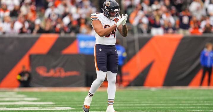 Bears GM thinks Joe Tryon-Shoyinka, Austin Booker can help team's defensive line situation