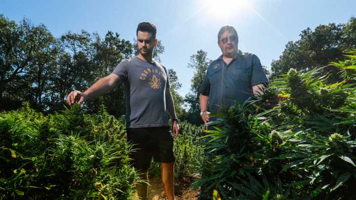 Why Kentucky hemp advocates say they have 364 days to save industry